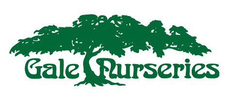 Gale Nurseries